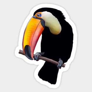 Toco Toucan Sticker